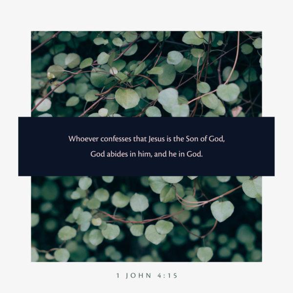 Whoever confesses that Jesus is the Son of God, God abides in him, and he in God. – 1 John 4:15