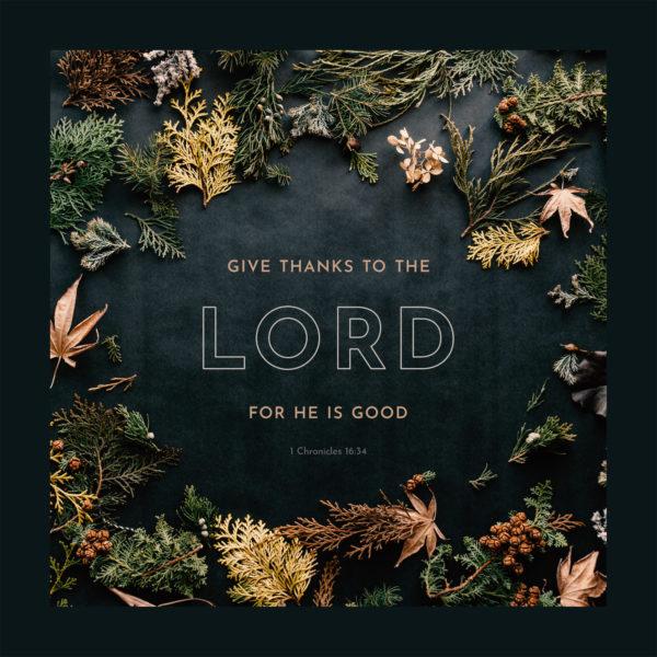 Give thanks to the LORD, for he is good. – 1 Chronicles 16:34