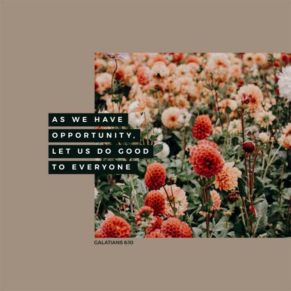 As we have opportunity, let us do good to everyone. – Galatians 6:10