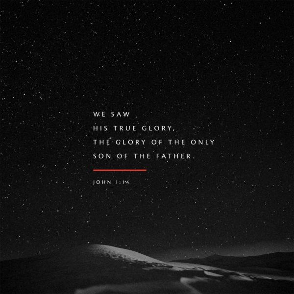 We saw his true glory, the glory of the only Son of the Father. – John 1:14