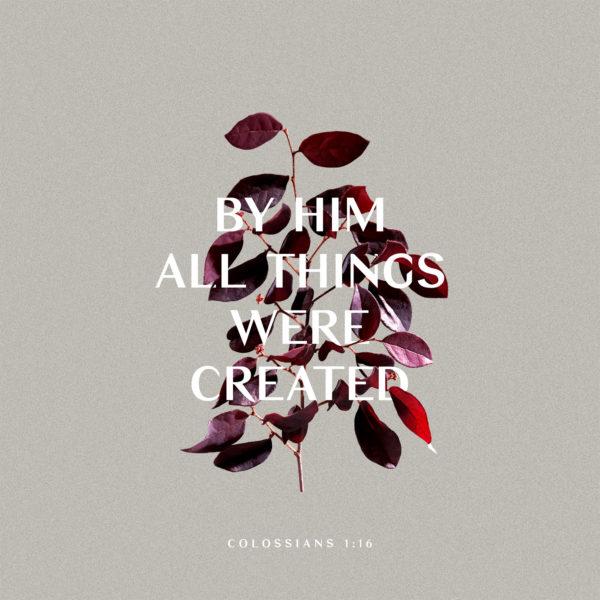 By Him all things were created. – Colossians 1:16