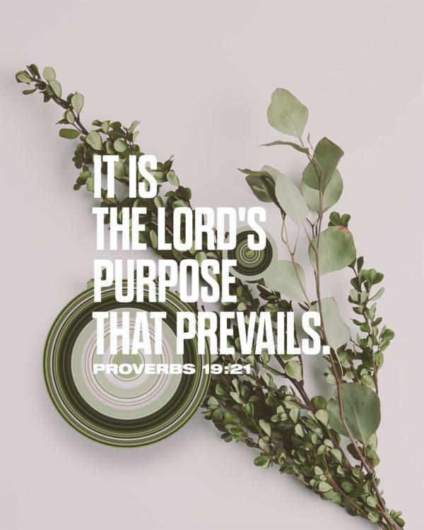 It is the LORD’s purpose that prevails. – Proverbs 19:21