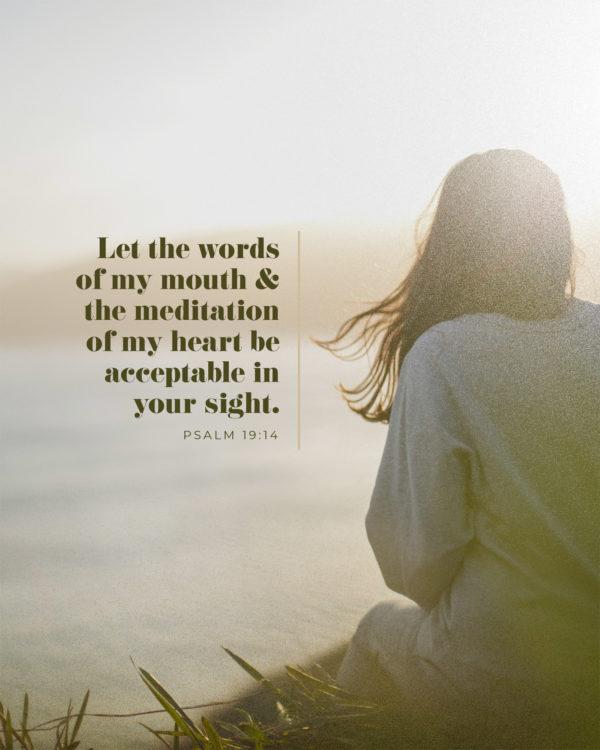 Let the words of my mouth and the meditation of my heart be acceptable in your sight. – Psalm 19:14