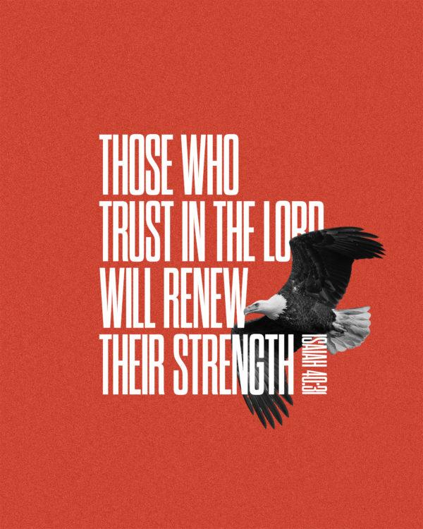 Those who trust in the LORD will renew their strength. – Isaiah 40:31