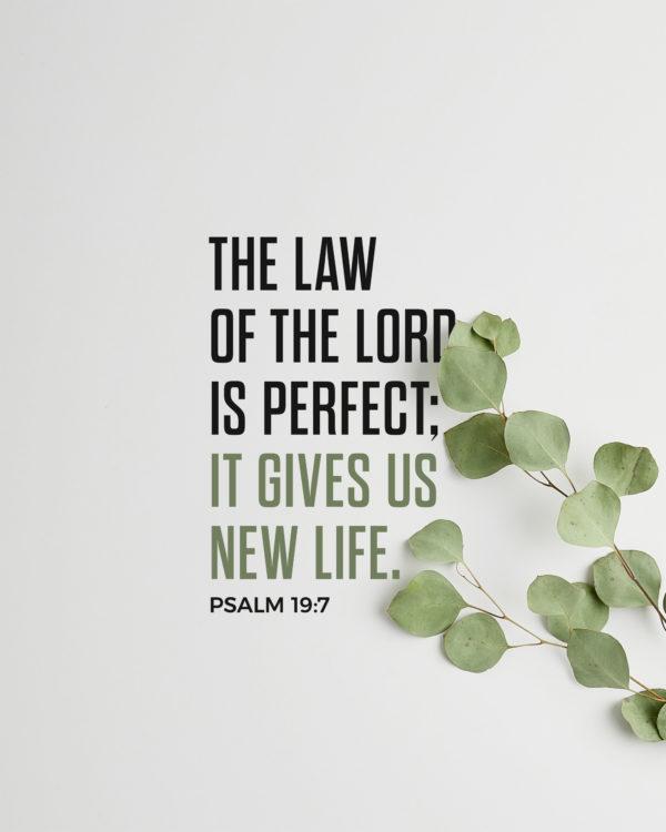 The Law of the LORD is perfect; it gives us new life. – Psalm 19:7