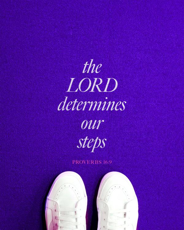 The LORD determines our steps. – Proverbs 16:9