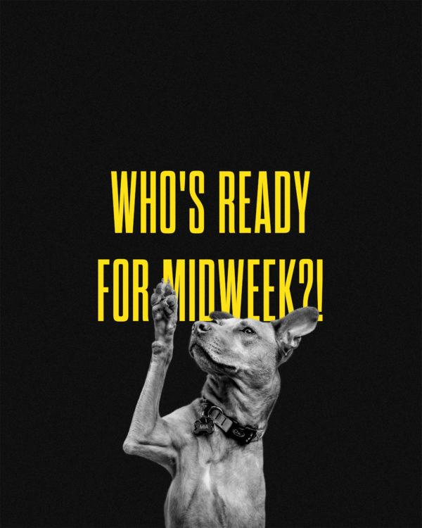 Who’s ready for midweek?!