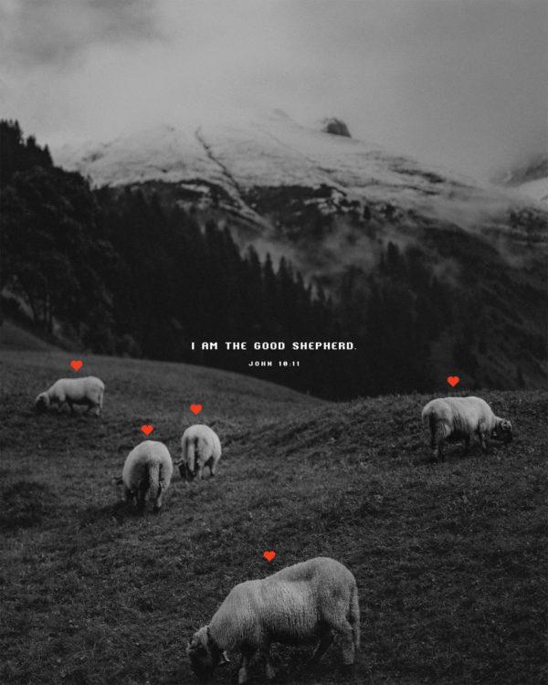 I am the good shepherd. – John 10:11