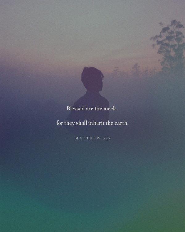 Blessed are the meek, for they shall inherit the earth. – Matthew 5:5