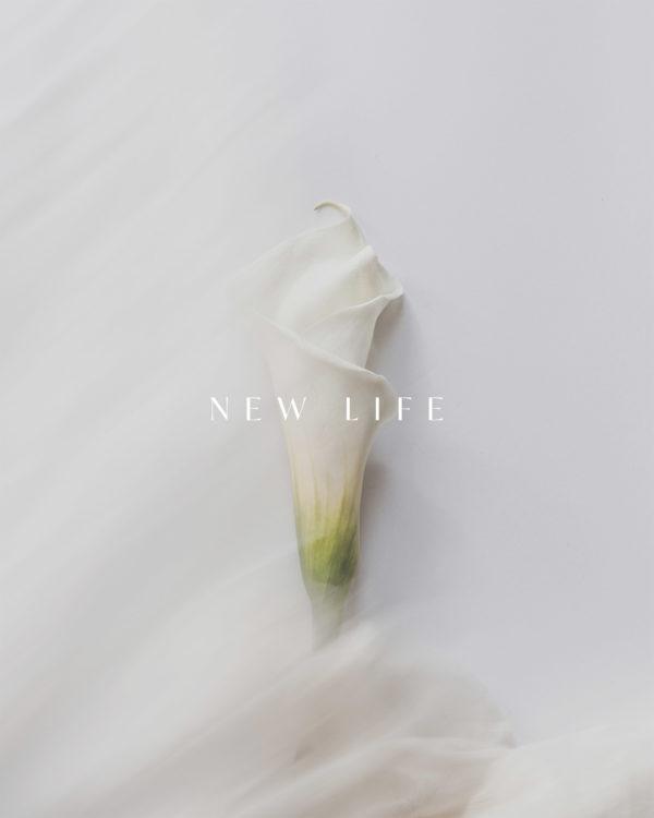 New Life