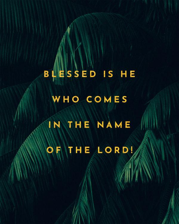 Blessed is he who comes in the name of the Lord!