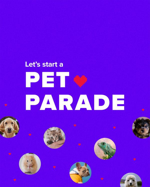 Let’s start a pet parade