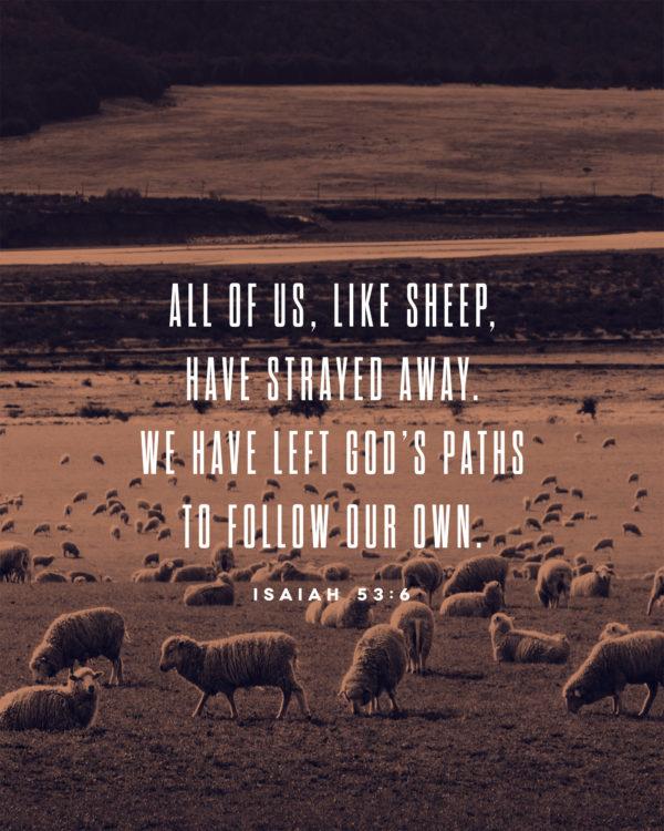 All of us, like sheep, have strayed away. We have left God’s paths to follow our own. – Isaiah 53:6