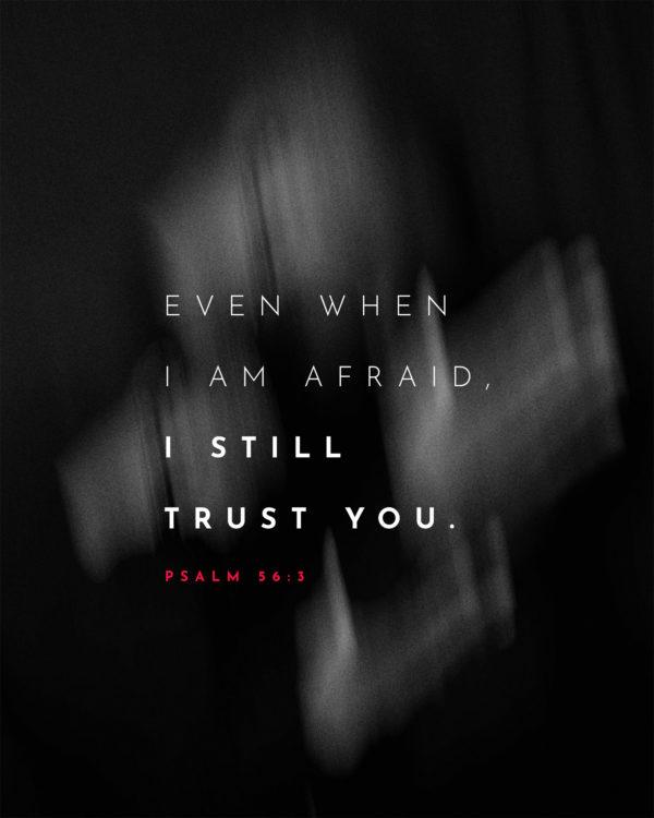 Even when I am afraid, I still trust you. – Psalm 56:3