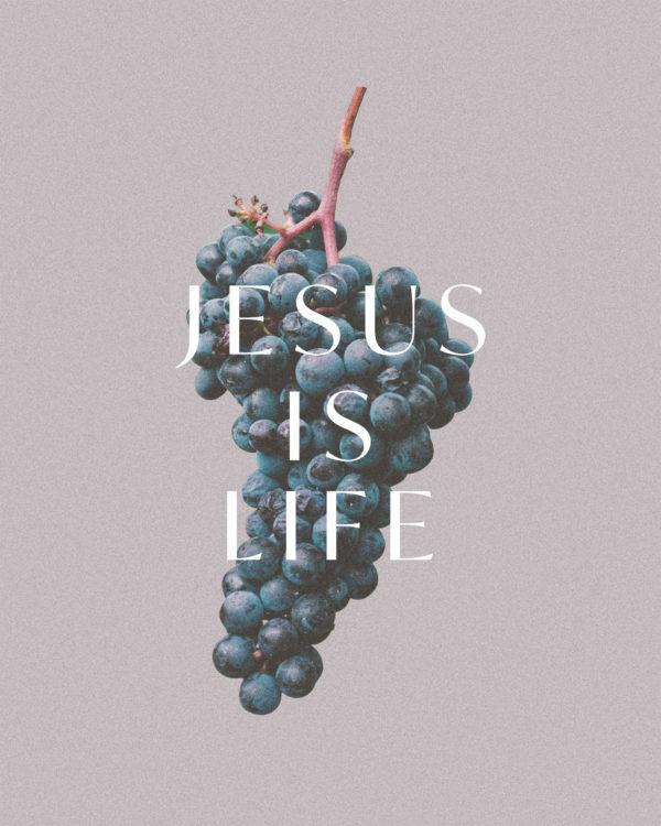 Jesus is Life