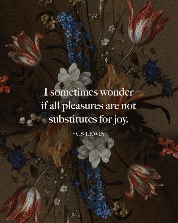 I sometimes wonder if all pleasures are not substitutes for joy. – CS Lewis