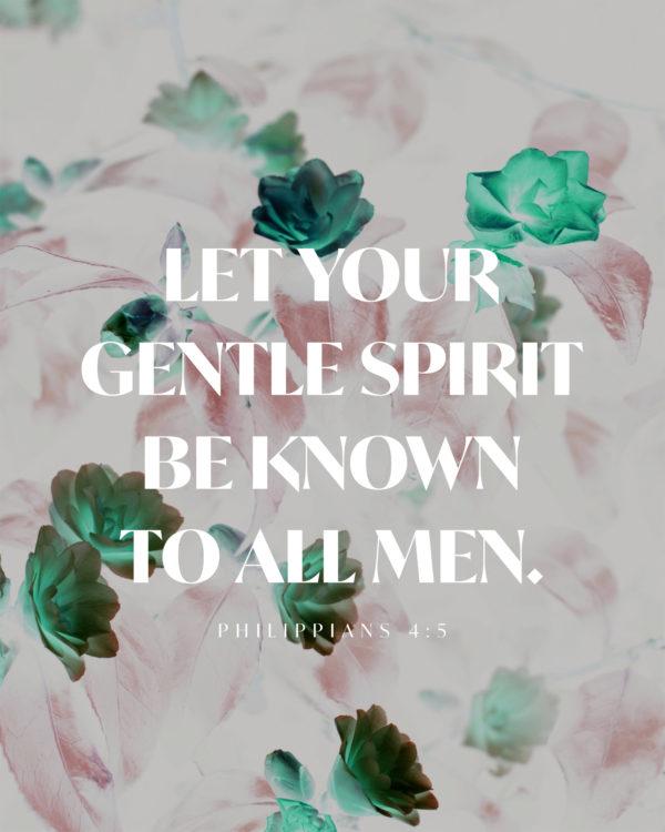 Let your gentle spirit be known to all men. – Philippians 4:5