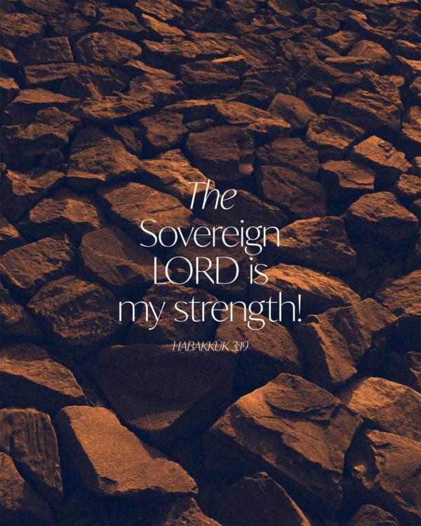 The Sovereign LORD is my strength! – Habakkuk 3:19