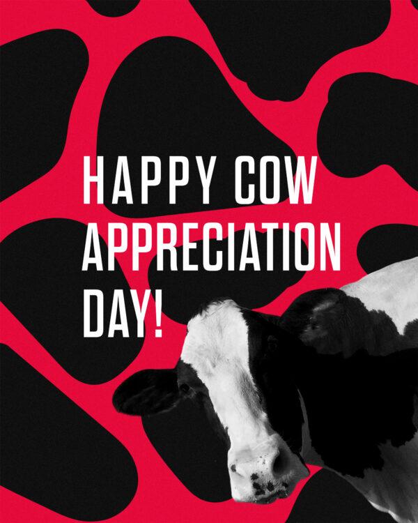 Happy Cow Appreciation Day!