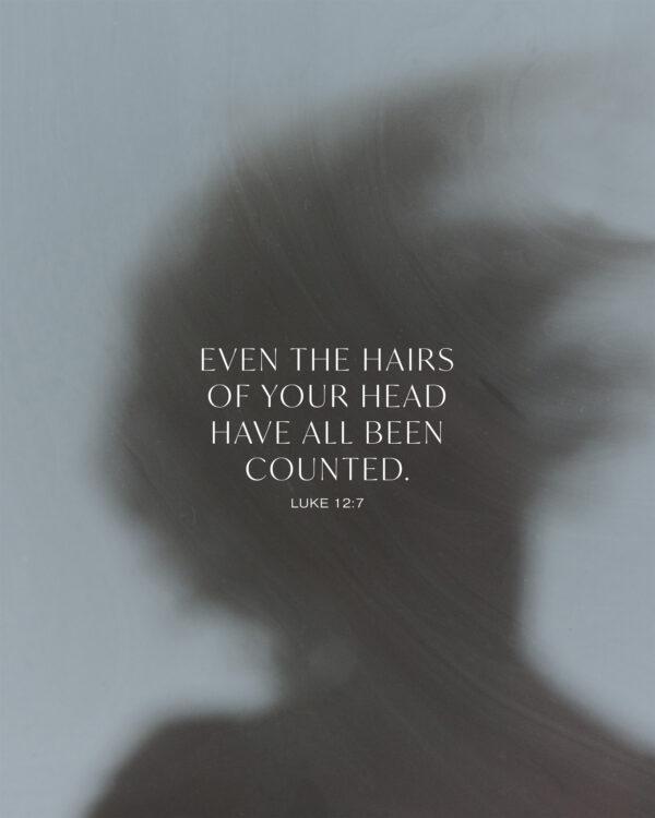 Even the hairs of your head have all been counted. – Luke 12:7