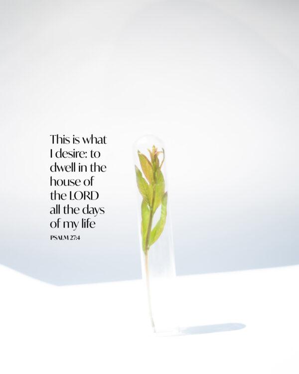 This is what I desire: to dwell in the house of the LORD all the days of my life. – Psalm 27:4