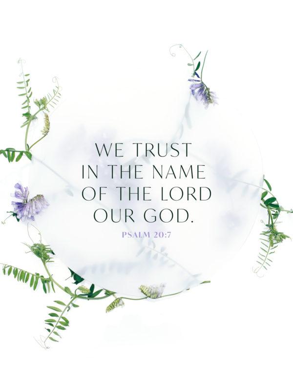 We trust in the name of the LORD our God. – Psalm 20:7