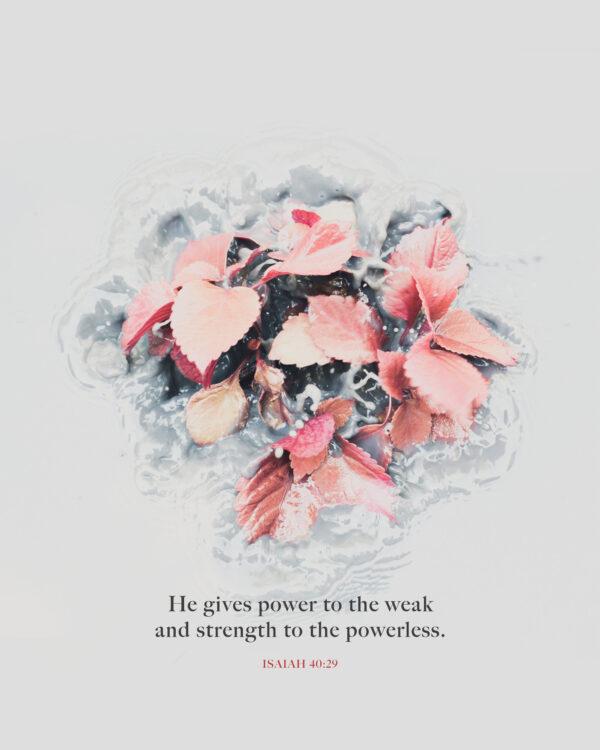 He gives power to the weak and strength to the powerless. – Isaiah 40:29