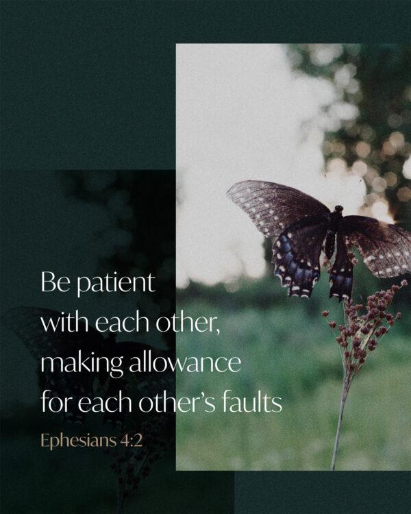 Be patient with each other, making allowance for each other’s faults. – Ephesians 4:2