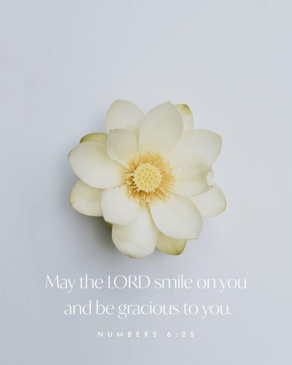 May the LORD smile on you and be gracious to you. – Numbers 6:25