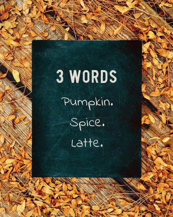 3 words. Pumpkin. Spice. Latte.