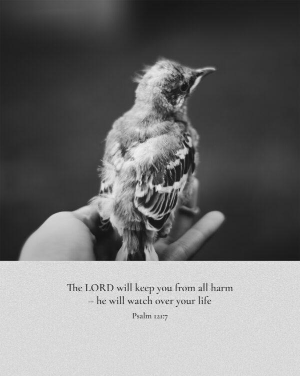 The LORD will keep you from all harm – he will watch over your life. – Psalm 121:7