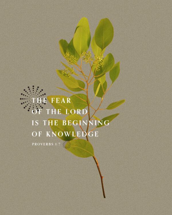 The fear of the LORD is the beginning of knowledge. – Proverbs 1:7