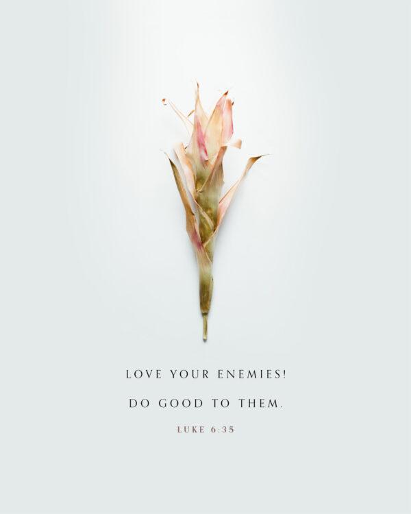 Love your enemies! Do good to them. – Luke 6:35