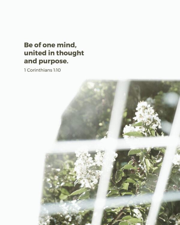 Be of one mind, united in thought and purpose. – 1 Corinthians 1:10