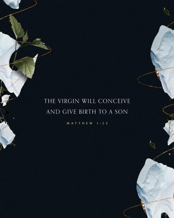 The virgin will conceive and give birth to a son. – Matthew 1:23