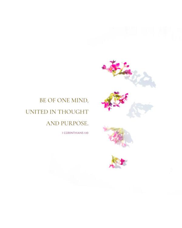 Be of one mind, united in thought and purpose. – 1 Corinthians 1:10