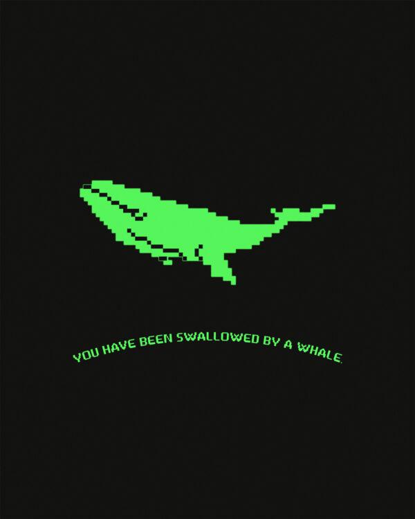 You have been swallowed by a whale.