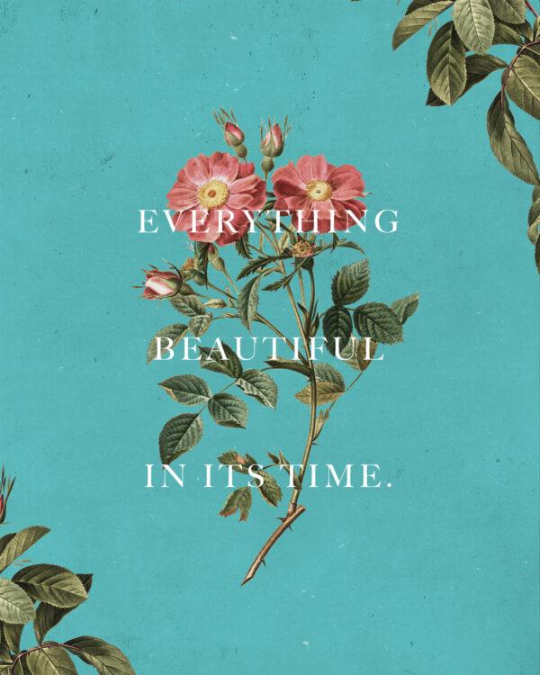 Everything beautiful in its time.