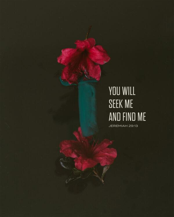 You will seek me and find me. – Jeremiah 29:13