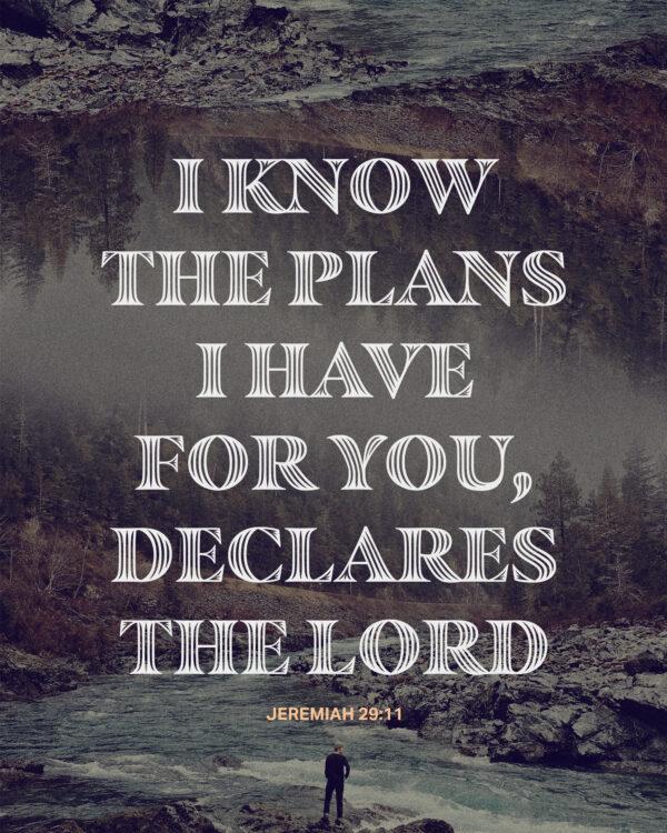 I know the plans I have for you, declares the LORD. – Jeremiah 29:11