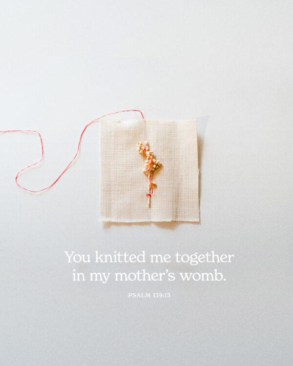 You knitted me together in my mother’s womb. – Psalm 139:13