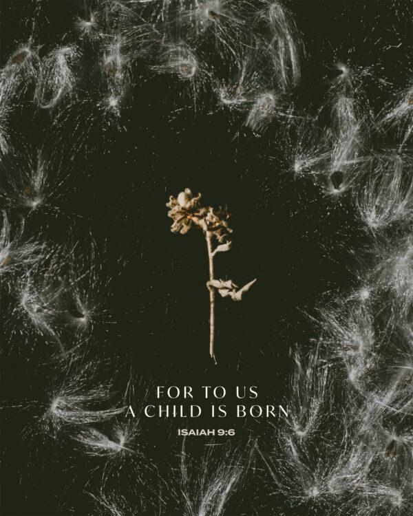 For to us a child is born. – Isaiah 9:6