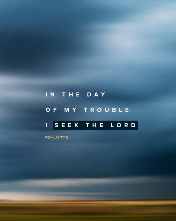 In the day of my trouble I seek the Lord. – Psalm 77:2