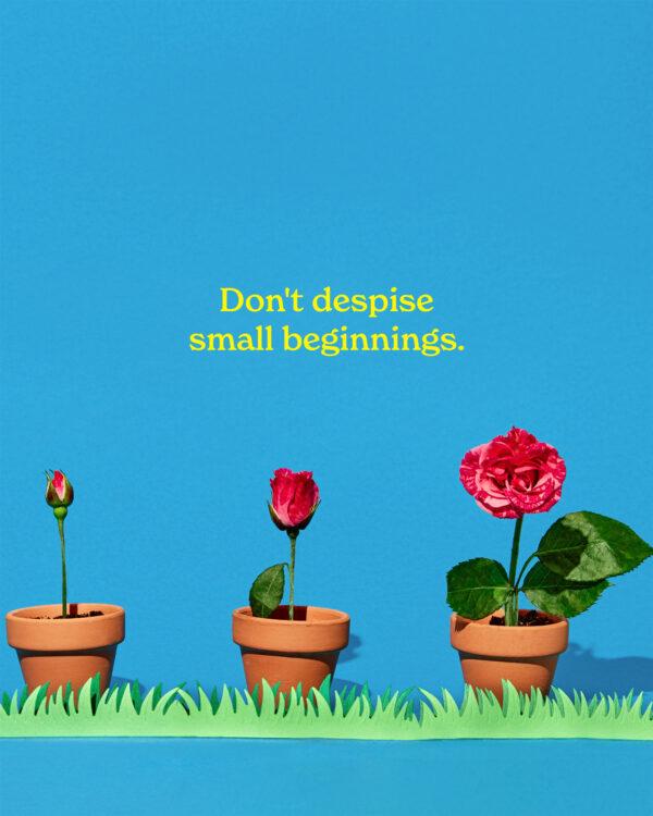 Don’t despise small beginnings.