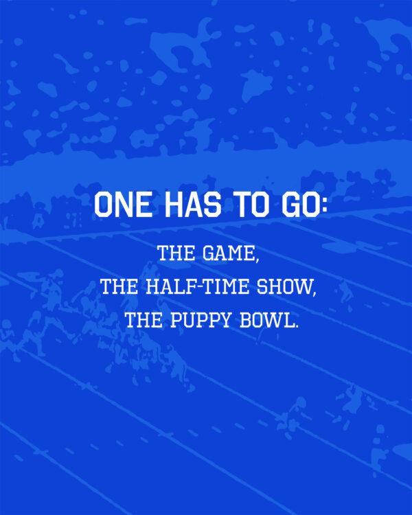 One has to go: The game, the half-time show, the puppy bowl.