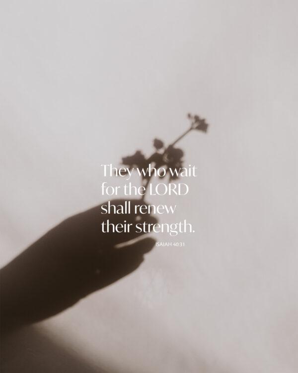 They who wait for the LORD shall renew their strength. – Isaiah 40:31