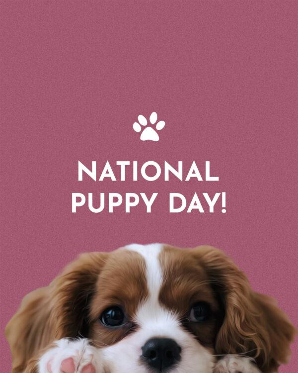 National Puppy Day!