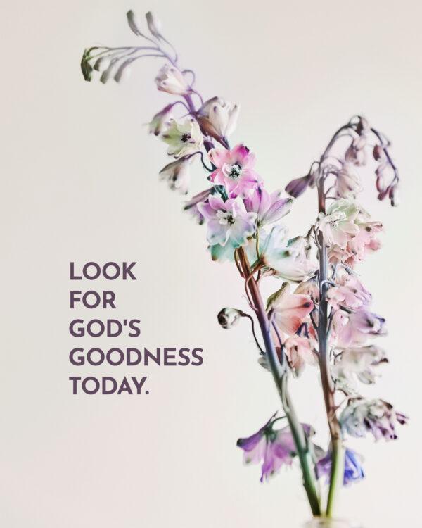 Look for God’s goodness today.