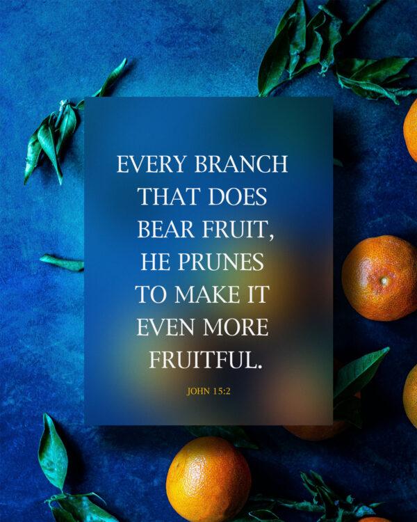 Every branch that does bear fruit, He prunes to make it even more fruitful. – John 15:2