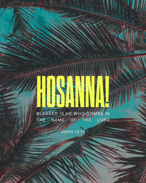 Hosanna! Blessed is he who comes in the name of the Lord. – John 12:13